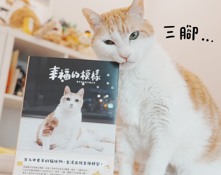 黃阿瑪 sitting beside a photo book held up in front of him, the cover showing another orange-and-white cat.
